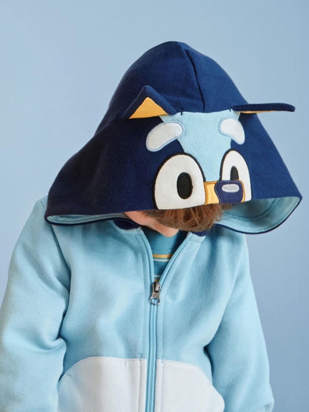 Hanna Andersson | Bluey Character French Terry Hoodie | US 5